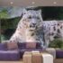 Fotomural animales para decorar ambientes
